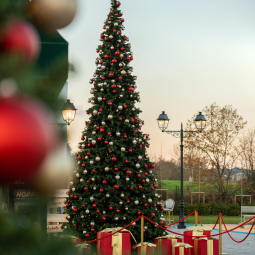 Un Noël scintillant