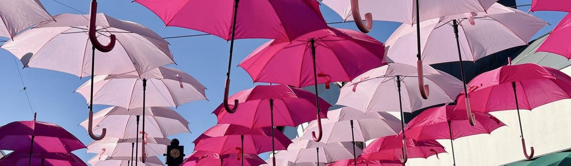 La couleur du printemps : le rose !