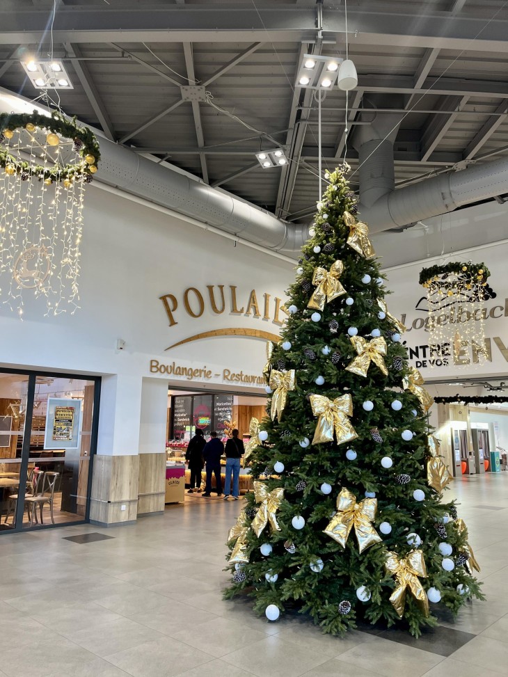 La magie de Noël en Alsace